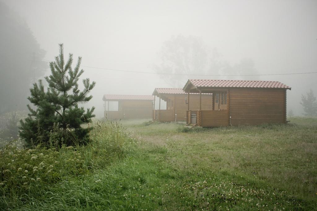 Готель Soomaa Water Camp Joesuu  Екстер'єр фото